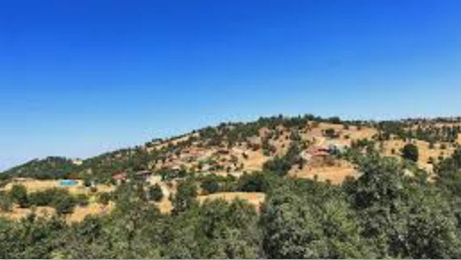 UŞAK EŞME ŞEHİTLİ KÖYÜNDE 550 M² ARSA SATILIKTIR - UŞAK EŞME fotoğraf 6